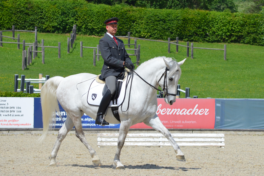 Lipizzanergestüt Piber | © Spanische Hofreitschule – Lipizzanergestüt Piber GöR