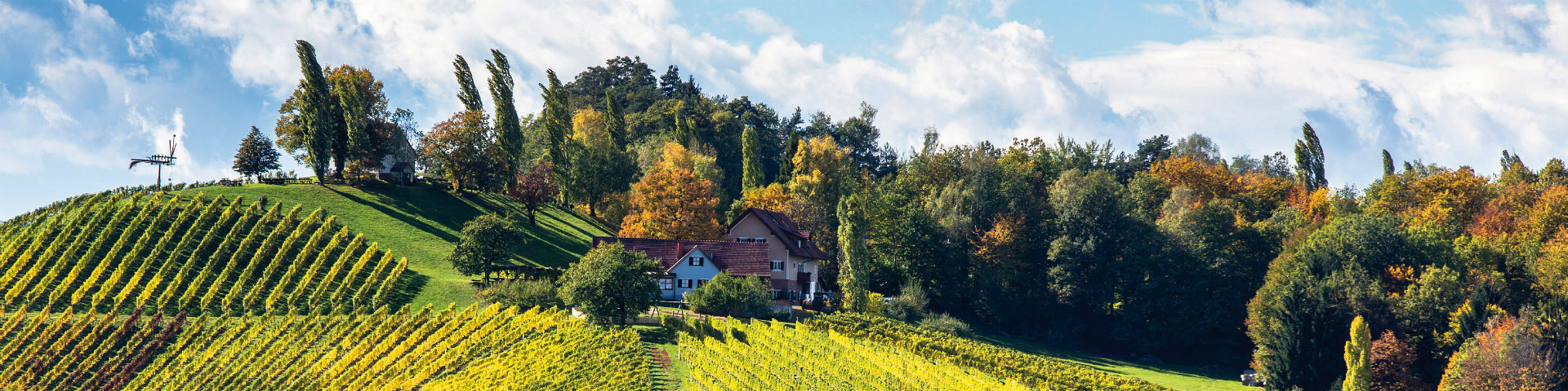 Gewinnspiel der Steirischen Weingasthöfe | © Steiermark Tourismus | Harry Schiffer