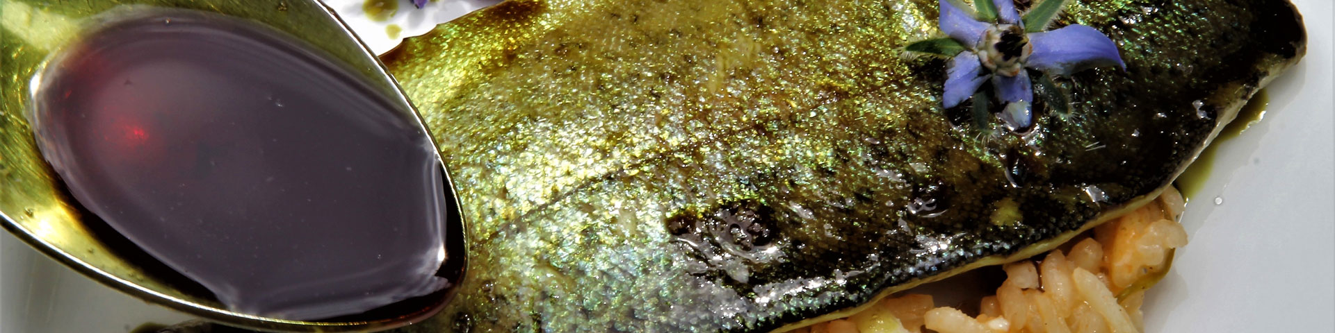 Forellenfilet pochiert in Kernöl mit Salbei-Kürbisrisotto | © Rauch-Hof